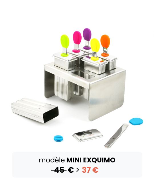 Moules à glace maison en inox sans plastique sans bpa de chez Joli Monde